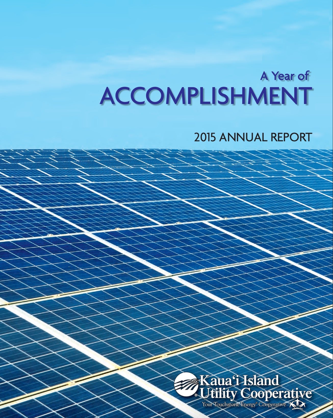 2015 - A Year Of Accomplishment