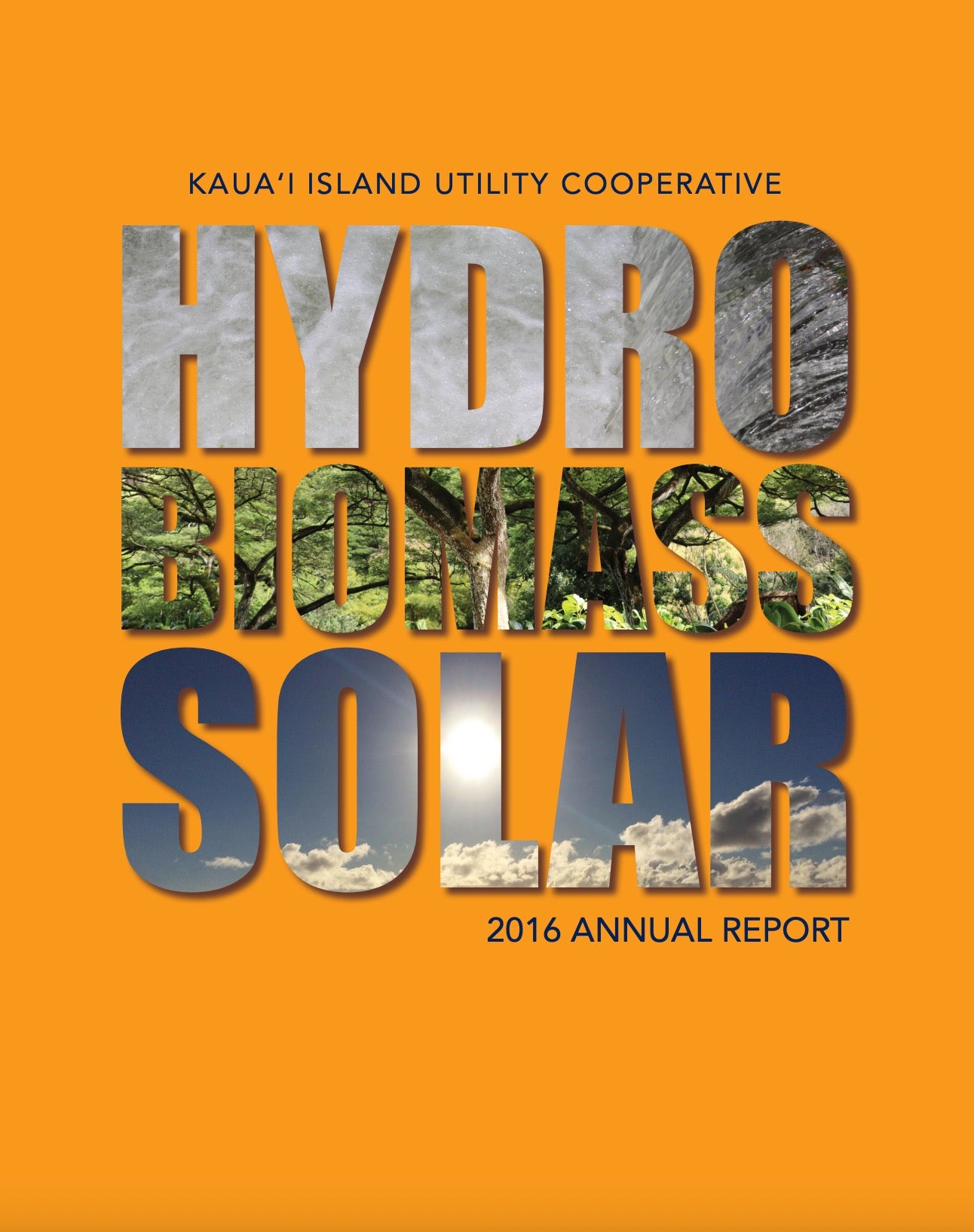 2016 - Hydro Biomass Solar