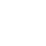pay now icon