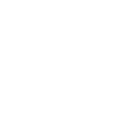 western union icon