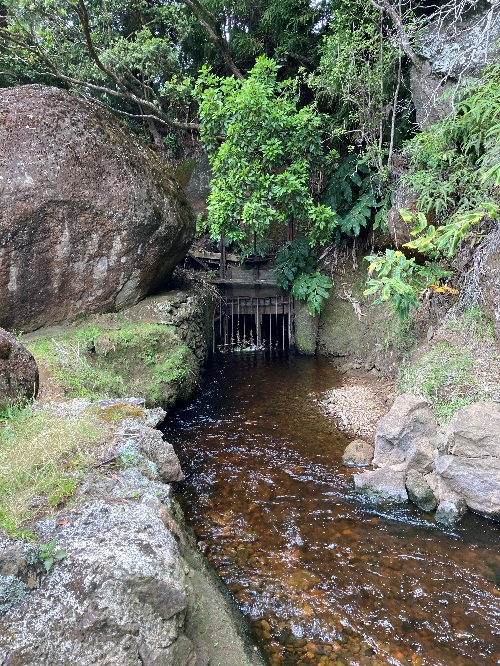 Intake gate at Kawaikōī Diversion in Kōkeʻe